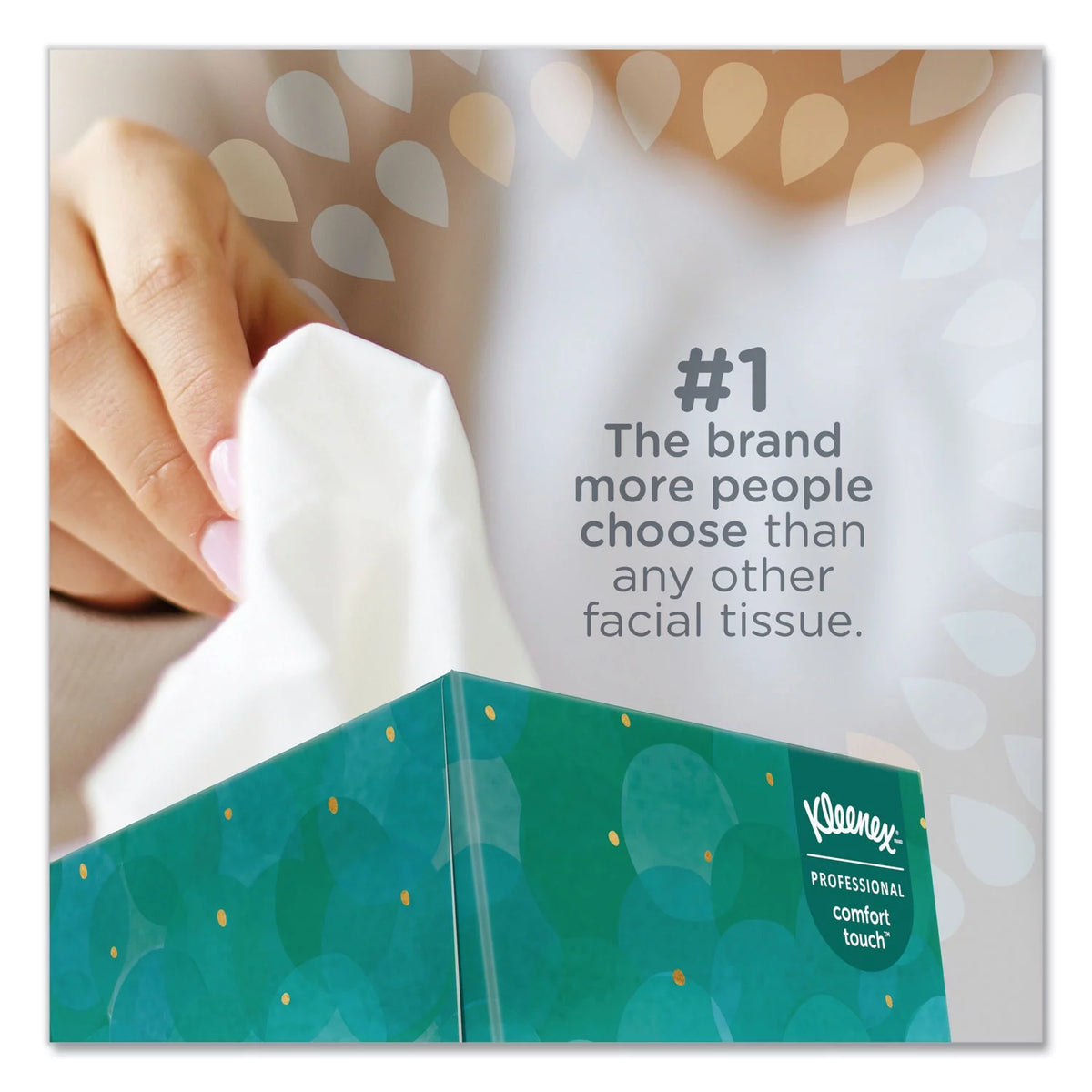 White 2-Ply Facial Tissue, 6 Boxes P50801