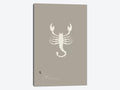 Scorpio Canvas Art U8056