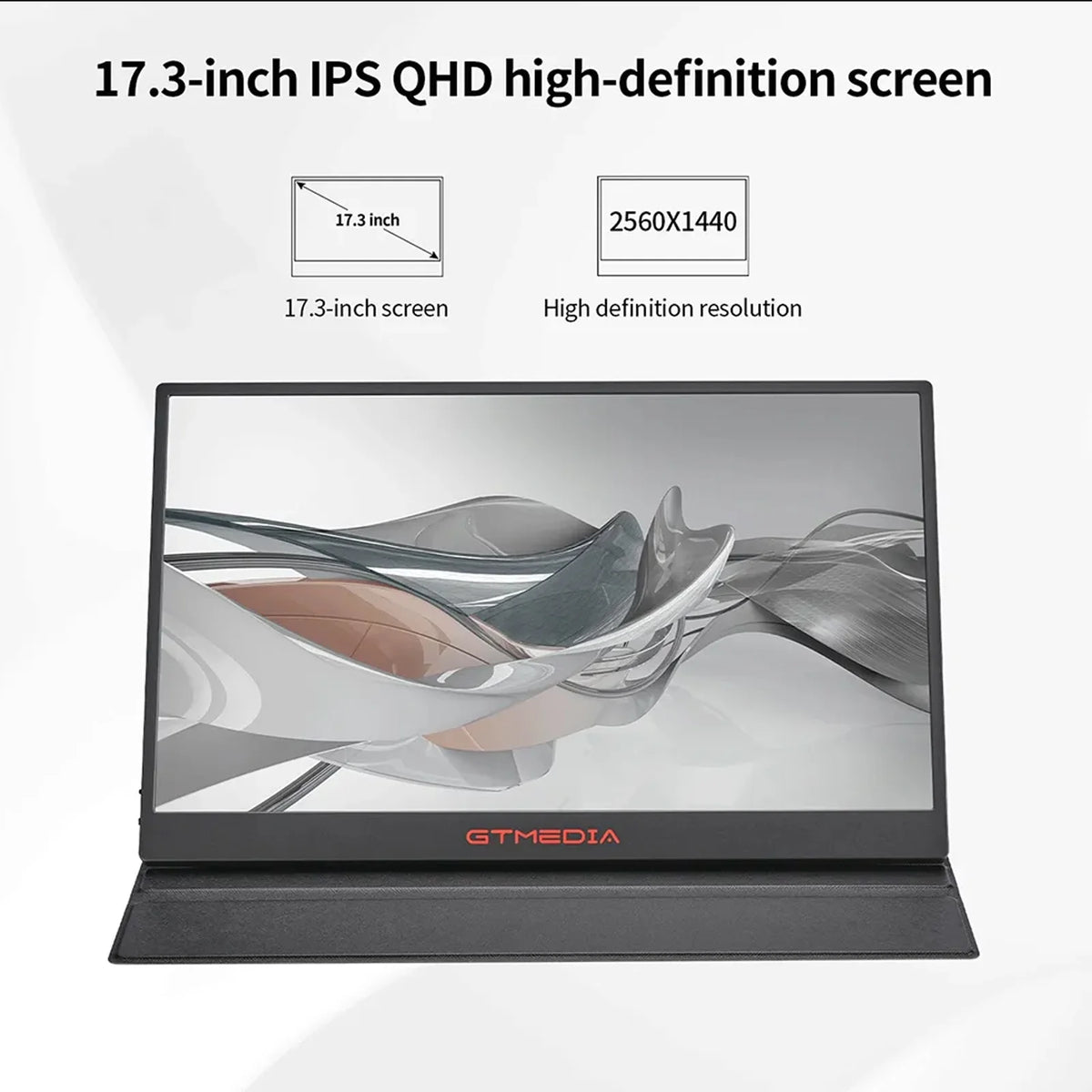 17.3'' Portable IPS Monitor C953478