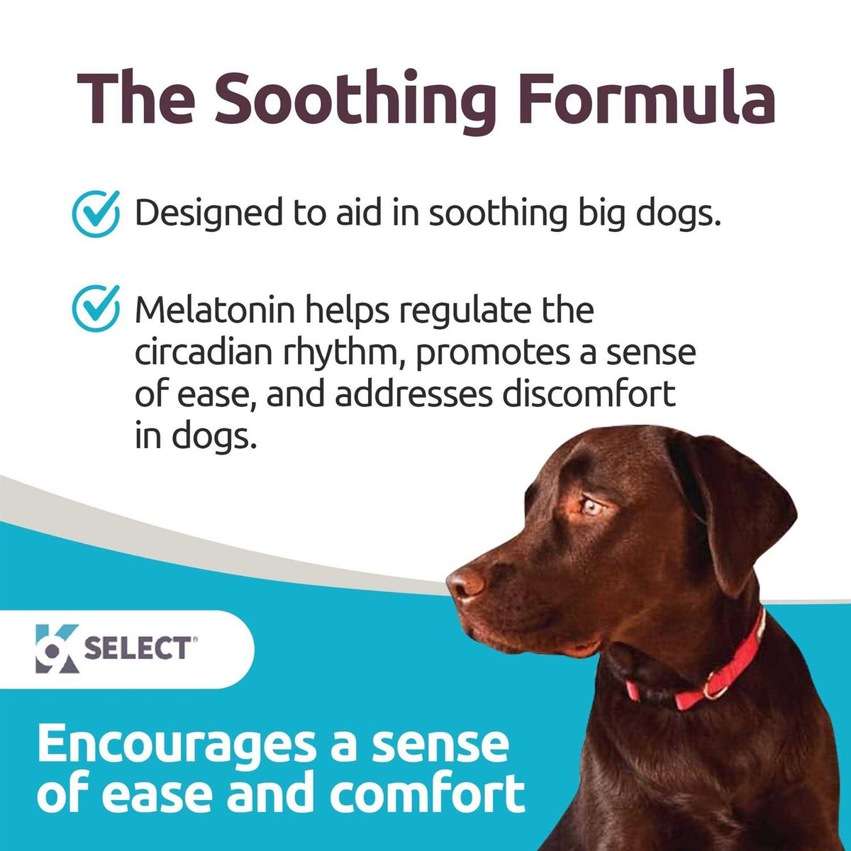 Melatonin for Dogs 6mg 90 Beef Flavored Chewable Tablets S205246