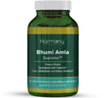 Chanca Piedra Herbal Supplement Y511