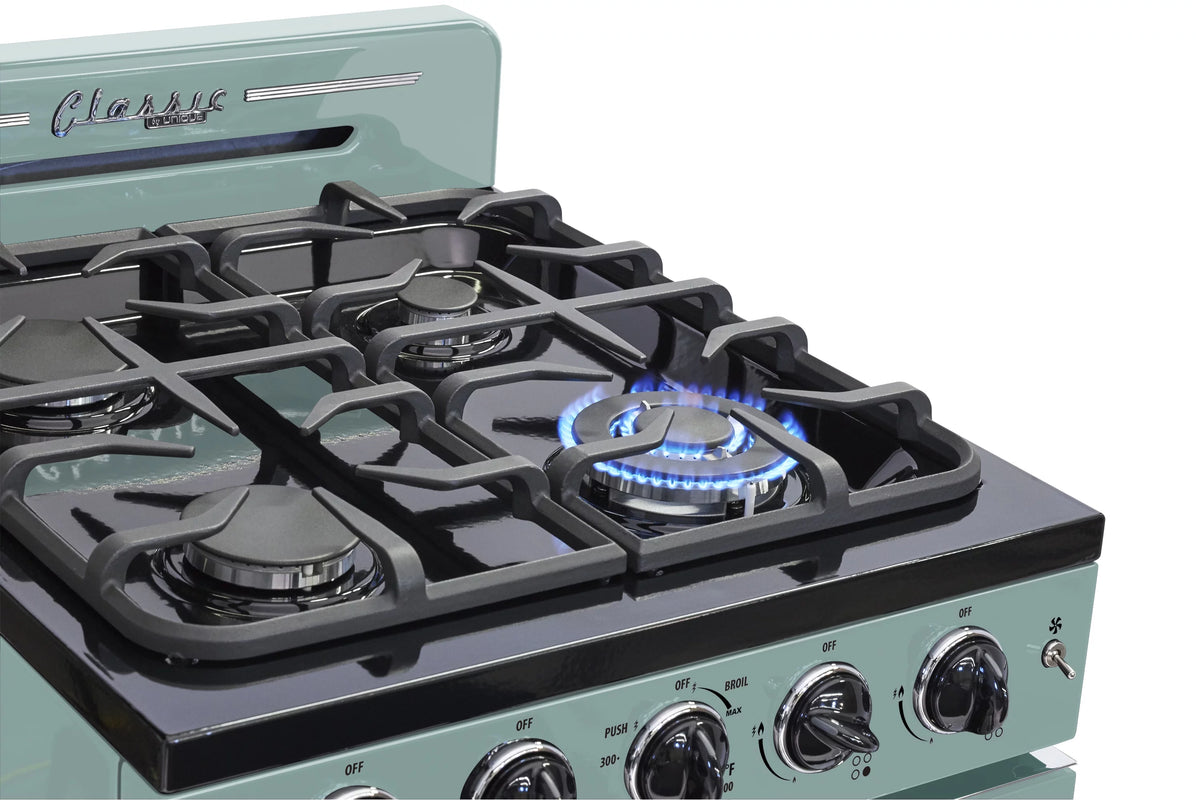24" 2.9 cu/ft Freestanding Gas Range with Convection Oven and Sealed Burners I86580