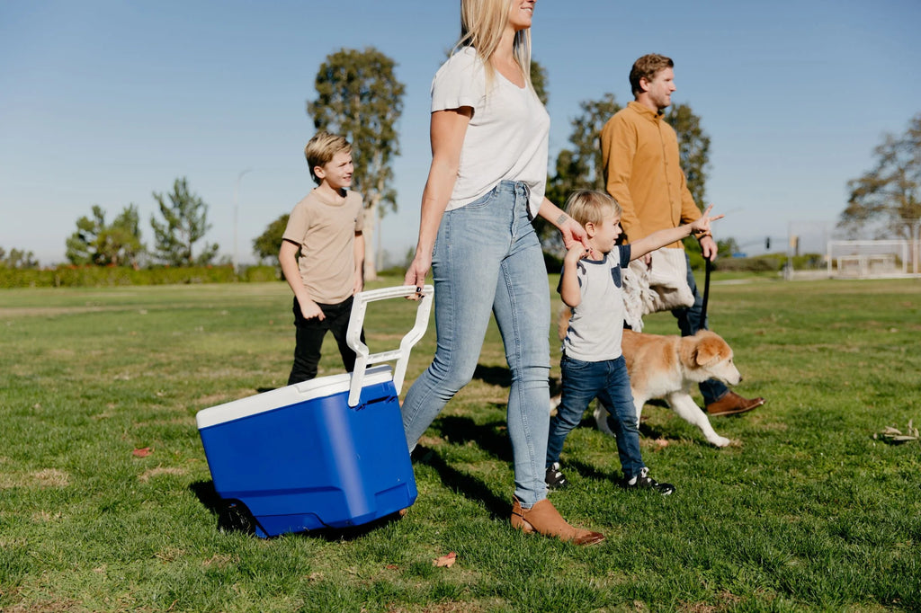 Blue 38 QT. Hard-Sided Ice Chest Cooler with Wheels R763
