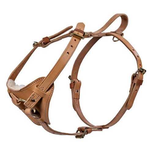 Leather Tracking Harness U7916