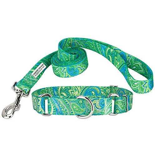 Martingale Dog Collar O14566