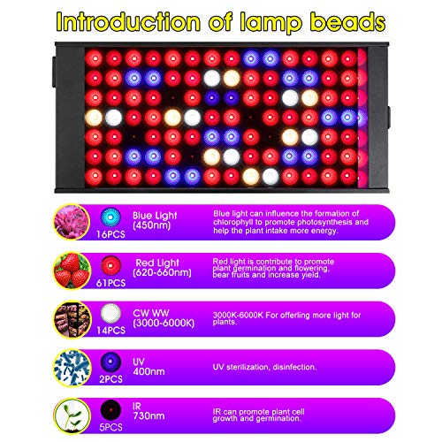 300W Full Spectrum Led Grow Light with 4 Dimmable Levels W91064