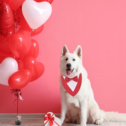 Red Plaid Dog Christmas Collar with Bowtie D95822