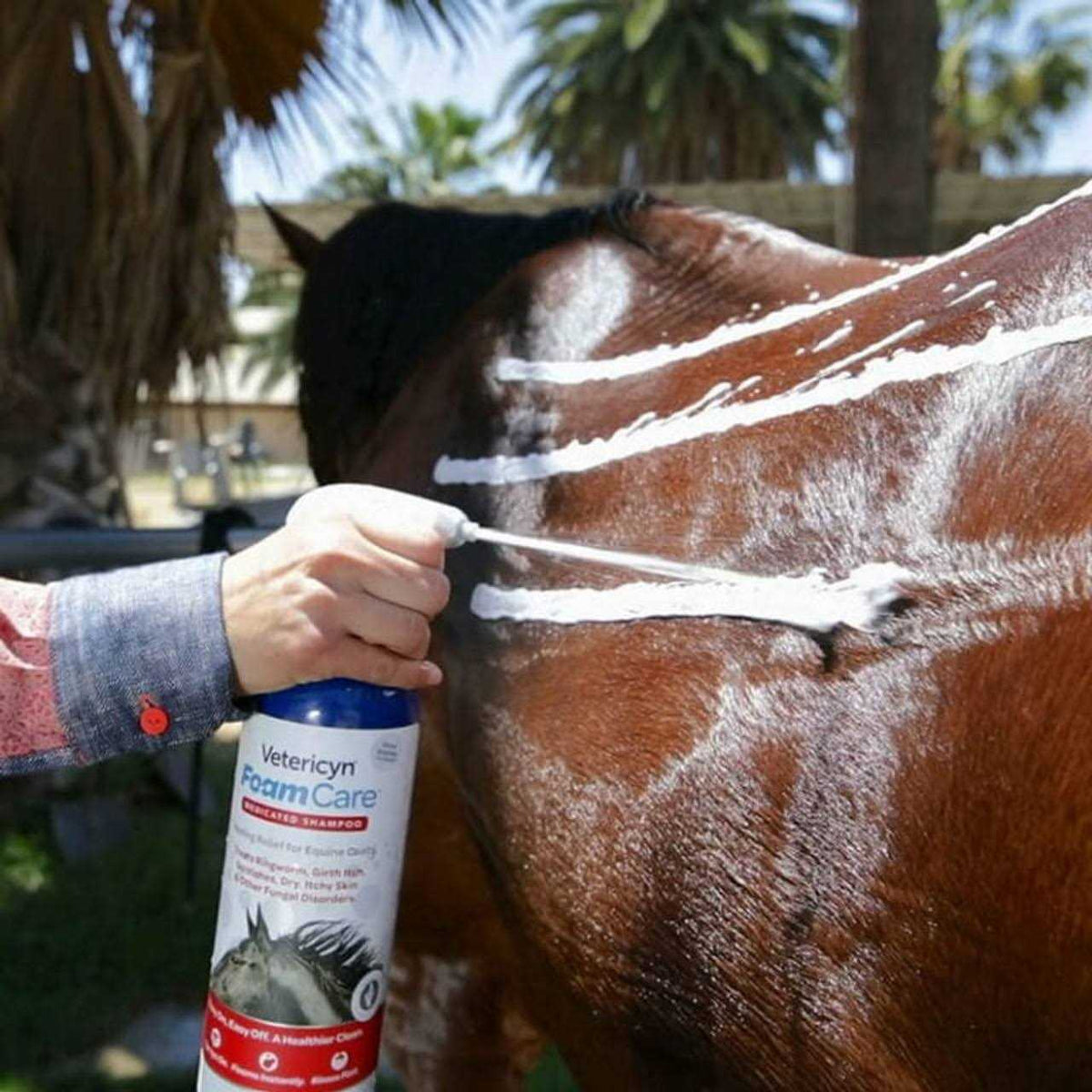Medicated Equine Shampoo P21835