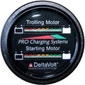 Trolling and Cranking Battery Fuel Gauge F758185