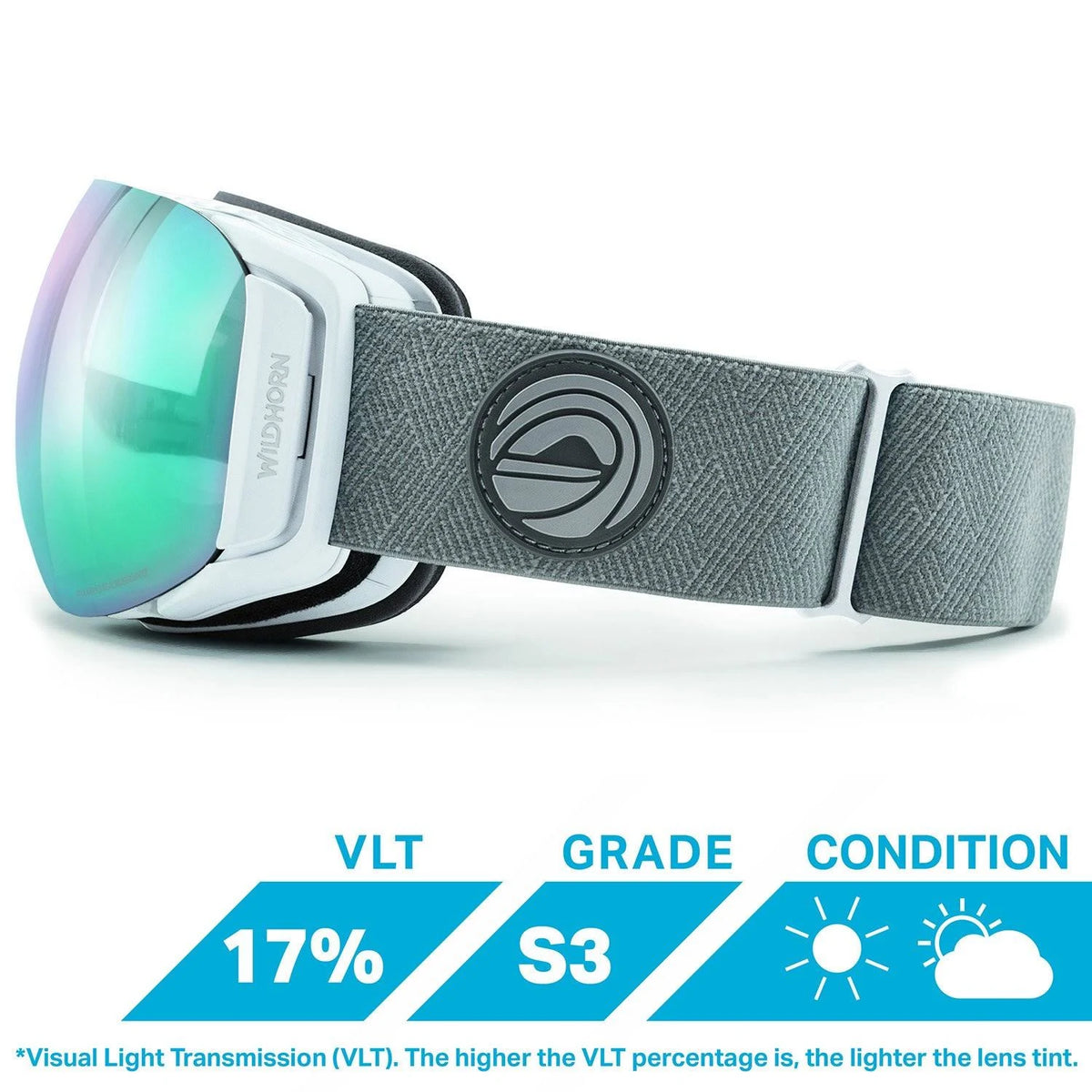 Ski Goggles V2451