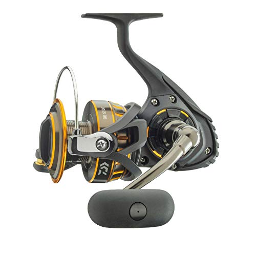 Black/Gold Saltwater Spinning Reel Y716739