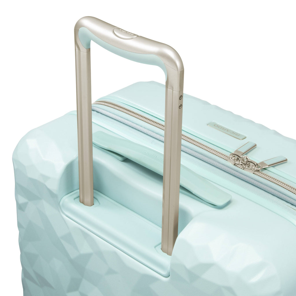 Large Check-In N479281