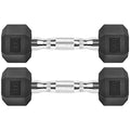 Rubber Coated Cast Iron Hex Dumbbell Free Weights F820253