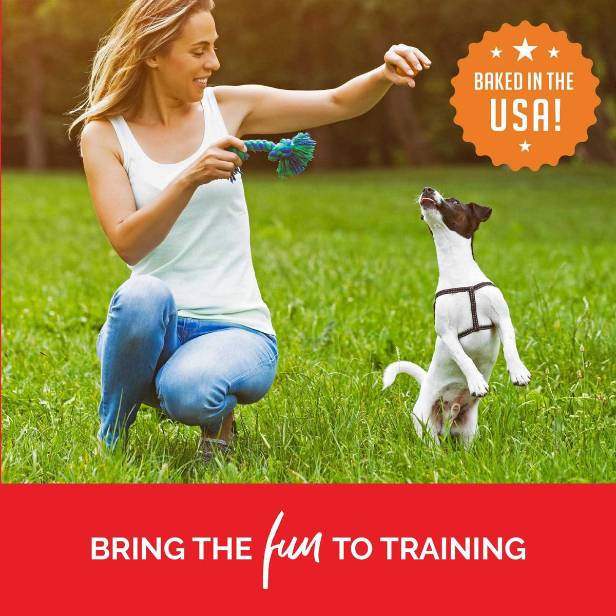 Training Bites Dog Treats R960223
