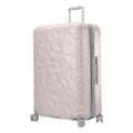 Large Check-In N479281