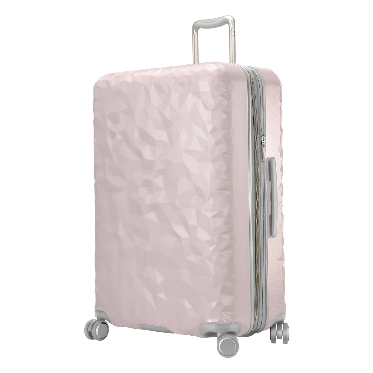 Large Check-In N479281