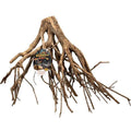 Mangrove Root F924625
