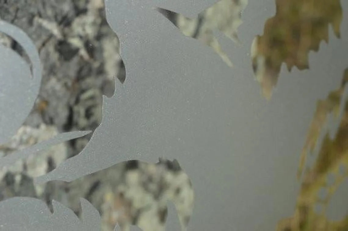DIY Etched Glass Vinyl Privacy Film B587