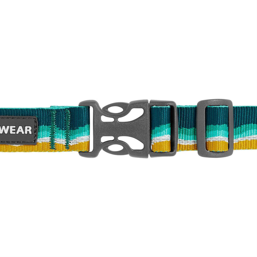 Dog Collar Y387254