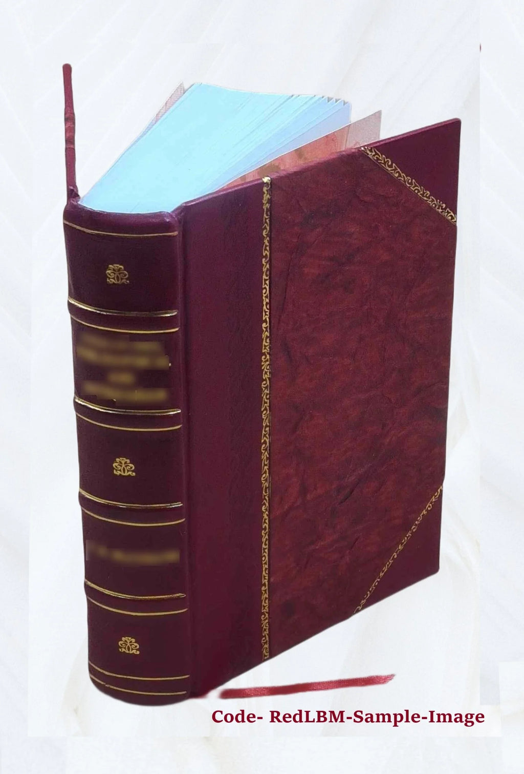 Leather Bound Book X914