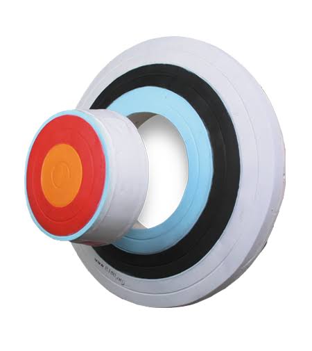 3-D Foam Archery Shooting Target S1521