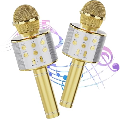 Wireless Bluetooth Karaoke Microphone 2 Pack Handheld Mic Speaker T221