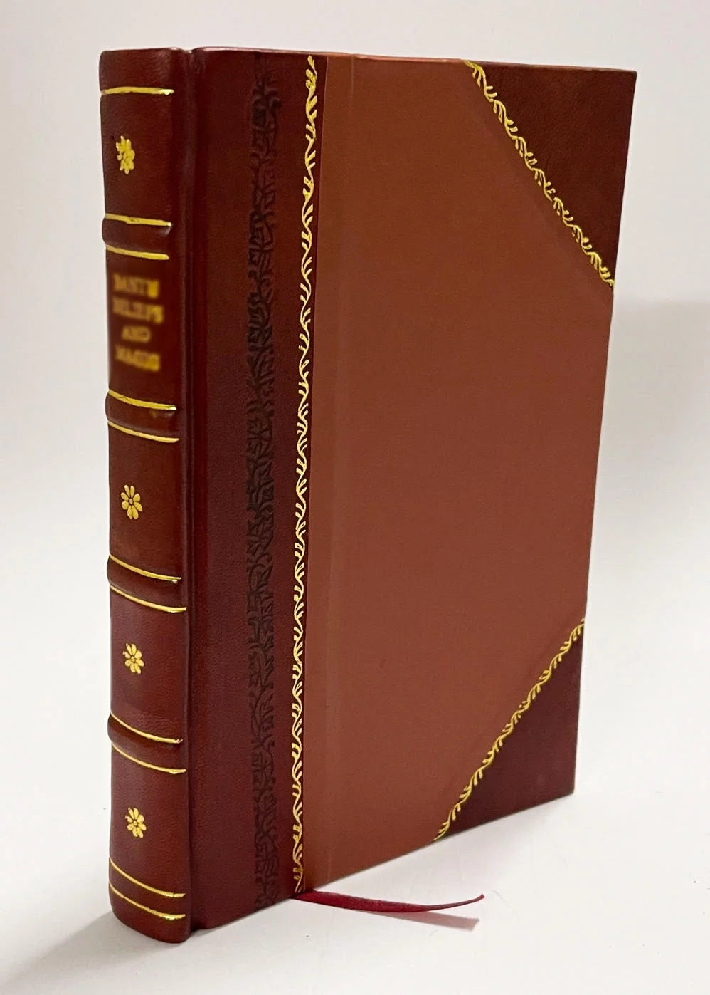 Leather Bound Book Y315083