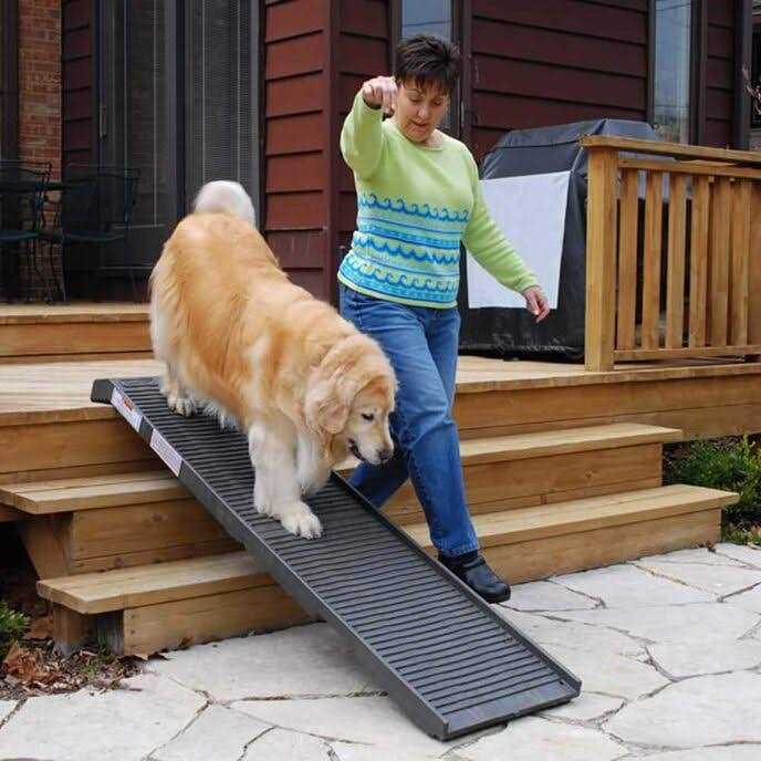 Folding Dog Ramp E5474