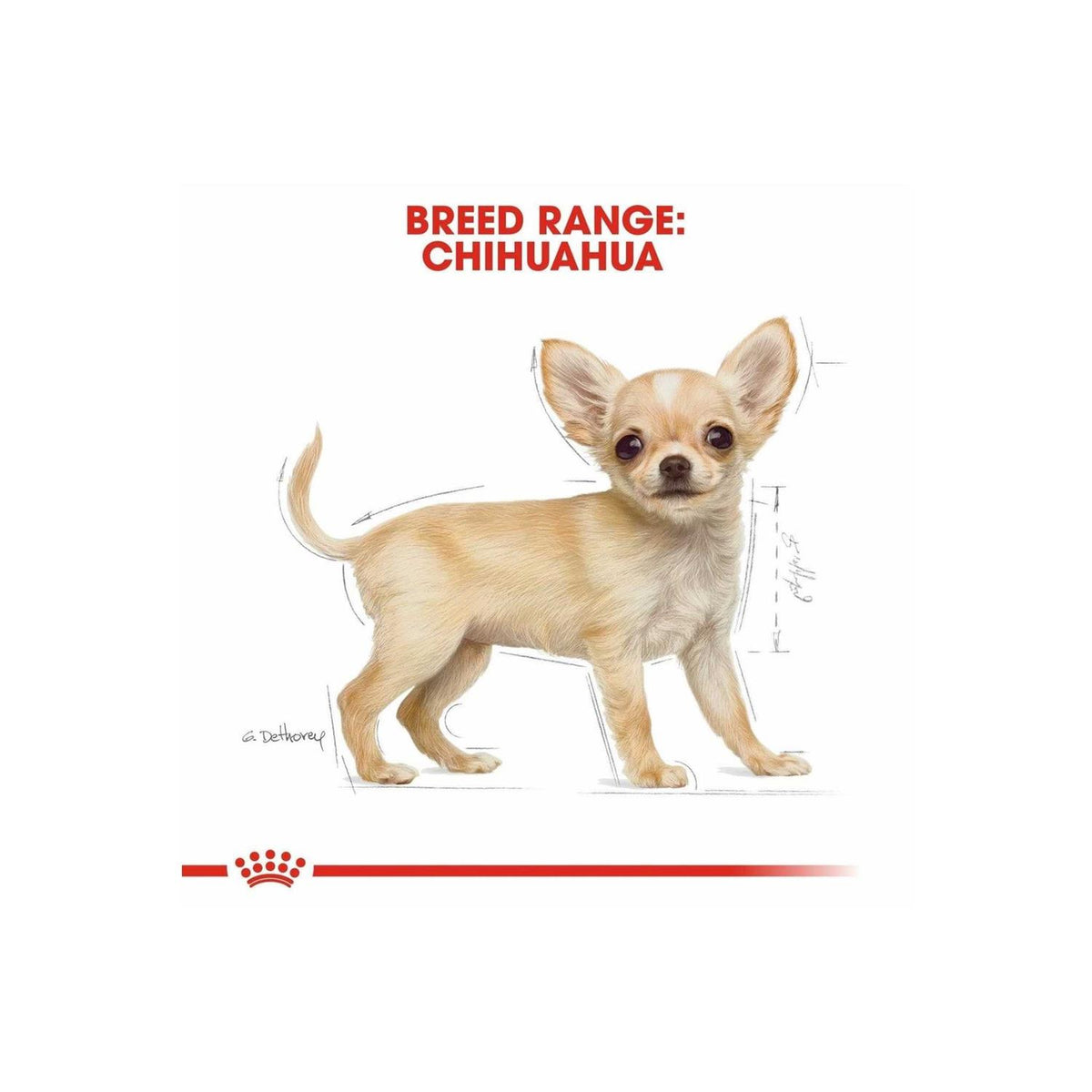 Chihuahua Puppy Dry Dog Food Q580165