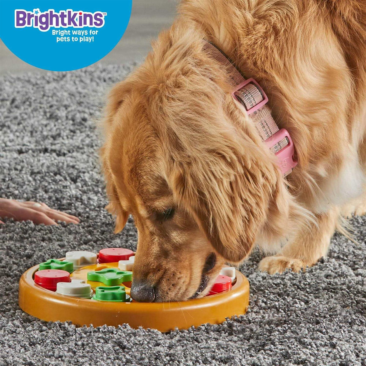Dog Treat Puzzle M356450