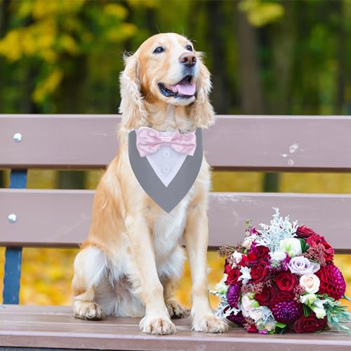 Red Plaid Dog Christmas Collar with Bowtie D95822