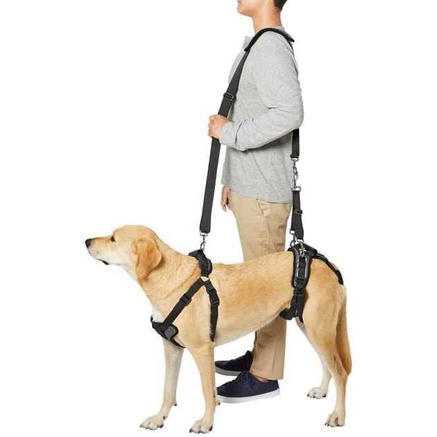 Dog Harness A511437