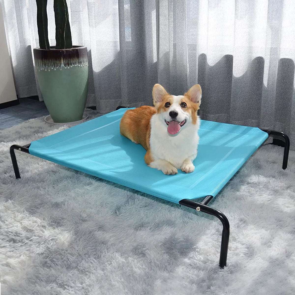 Extra Large Elevated Dog Bed Y144