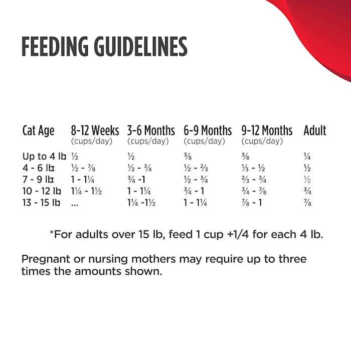 Kitten Dry Food A637