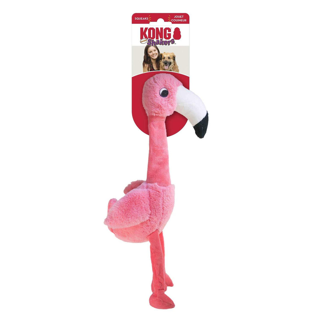 Duck Toy U468217