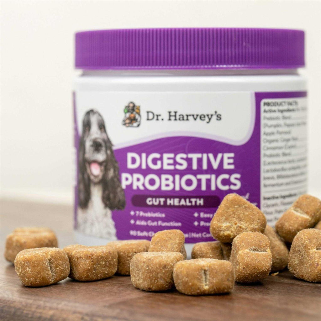 Probiotics Gut Health for Dogs Soft Chews L46268