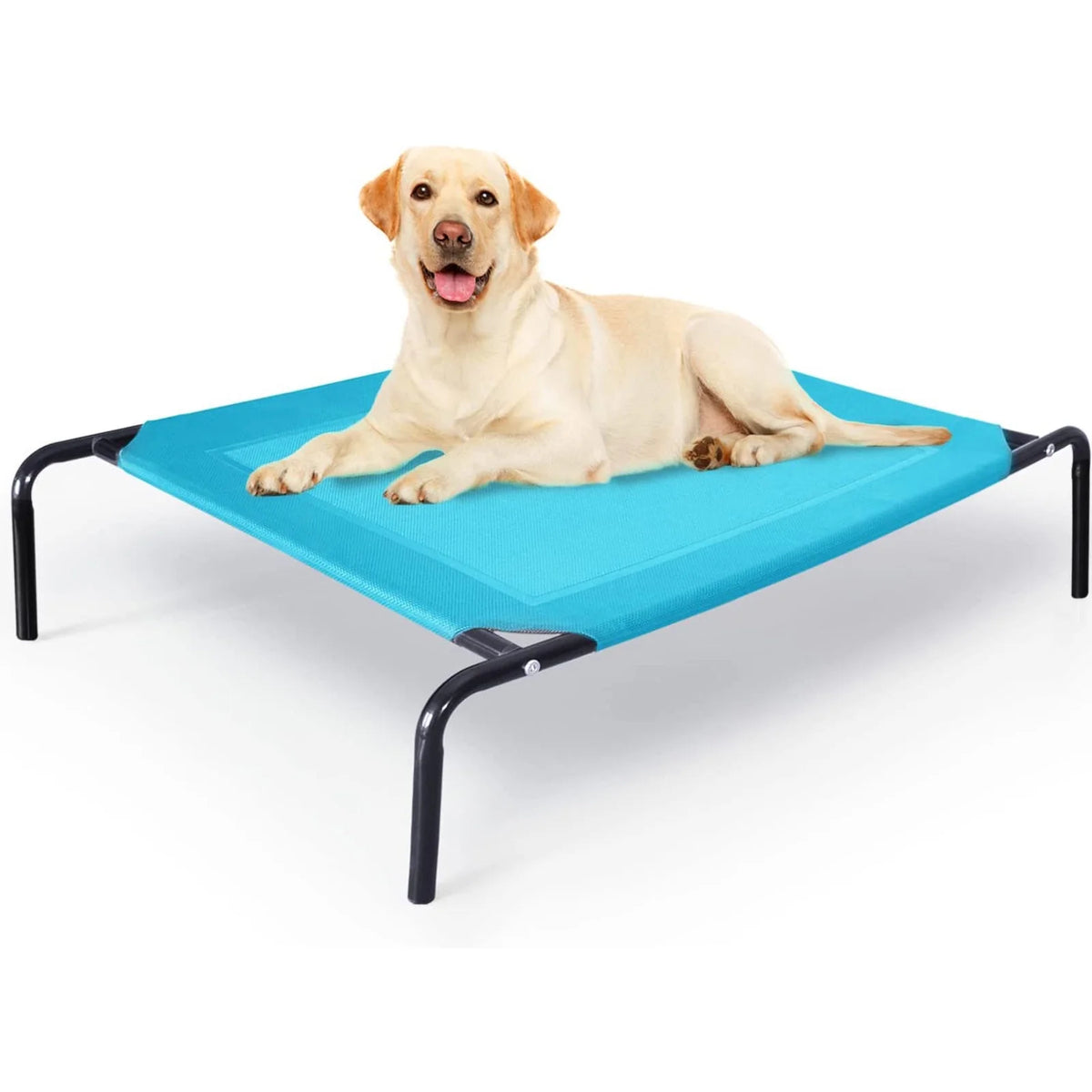 Extra Large Elevated Dog Bed Y144