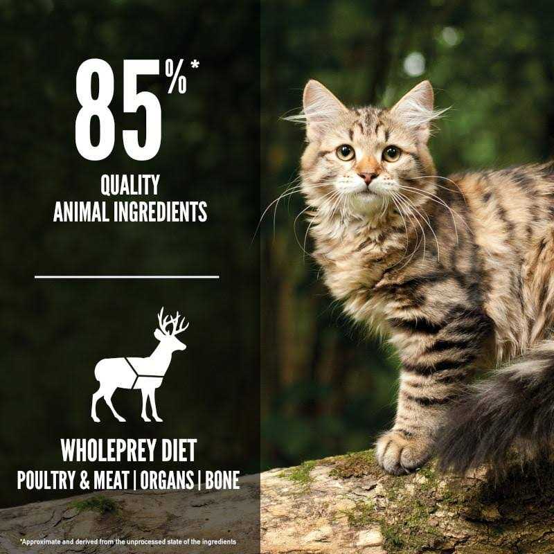 Cat Food U5555