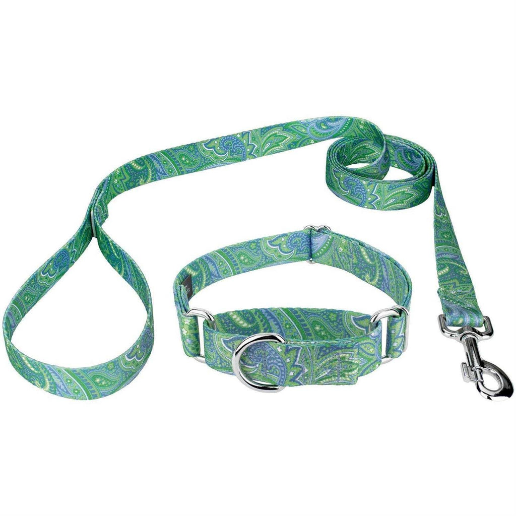 Martingale Dog Collar O14566
