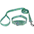 Martingale Dog Collar O14566