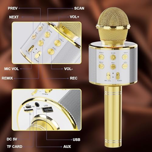 Wireless Bluetooth Karaoke Microphone 2 Pack Handheld Mic Speaker T221