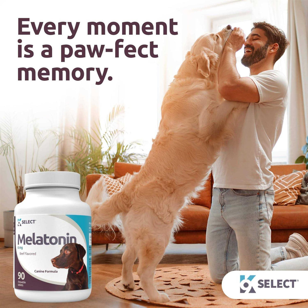 Melatonin for Dogs 6mg 90 Beef Flavored Chewable Tablets S205246