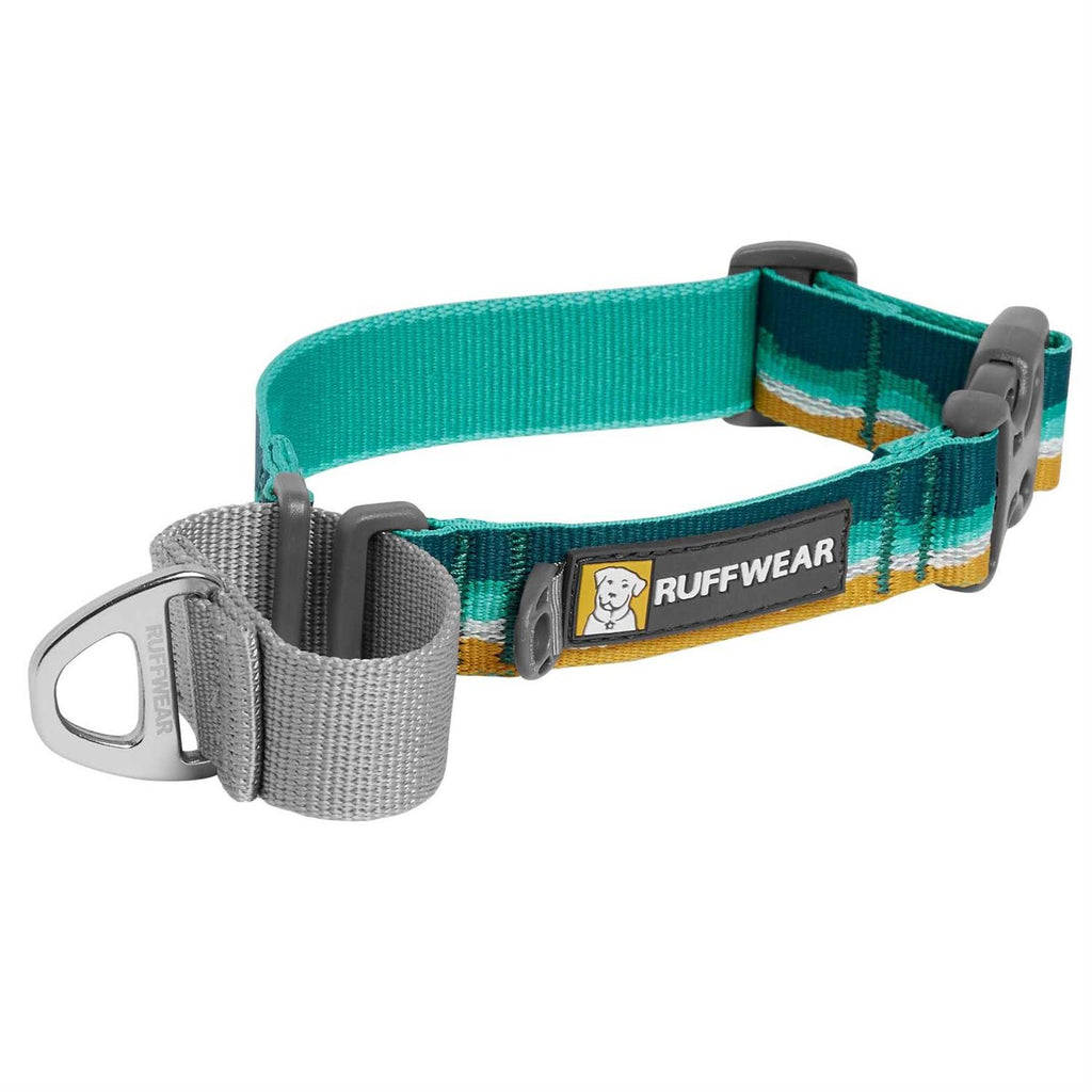 Dog Collar Y387254