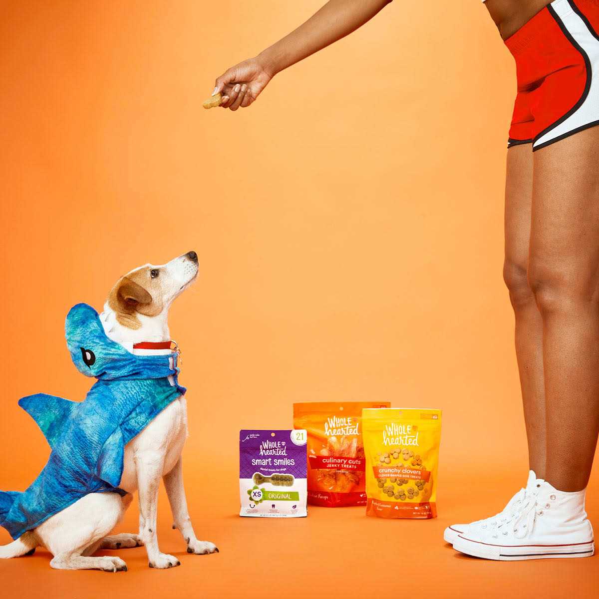 Chicken Recipe Jerky Dog Treats K7293