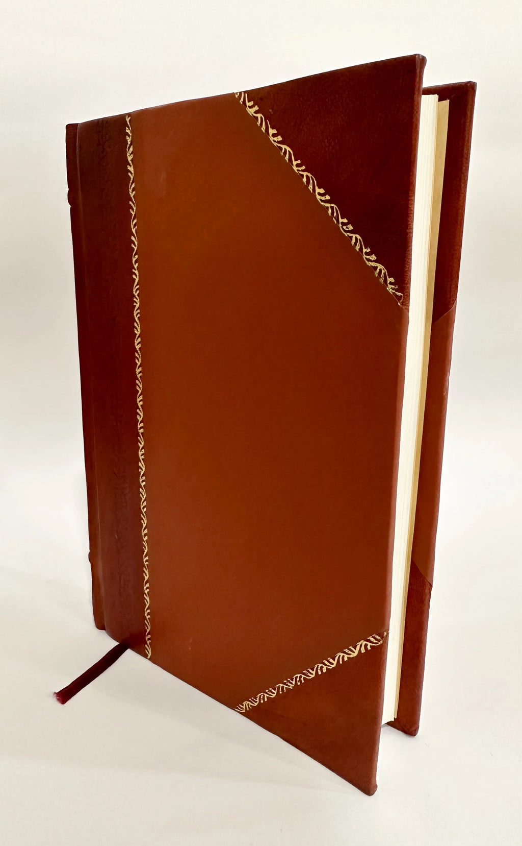 Leather Bound Book Y315083