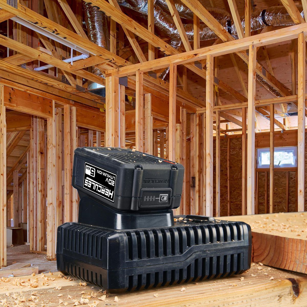 20/12V Dual-Voltage Lithium-Ion Battery Charger U550