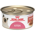 Mother & Babycat Ultra Soft Mousse L175