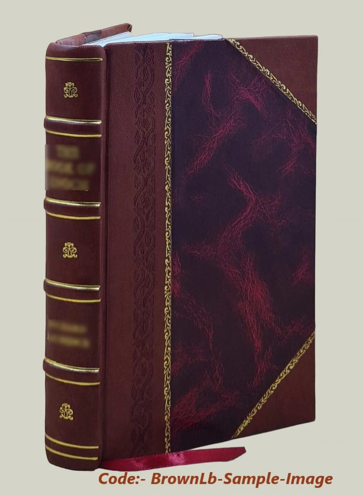 Leather Bound I173
