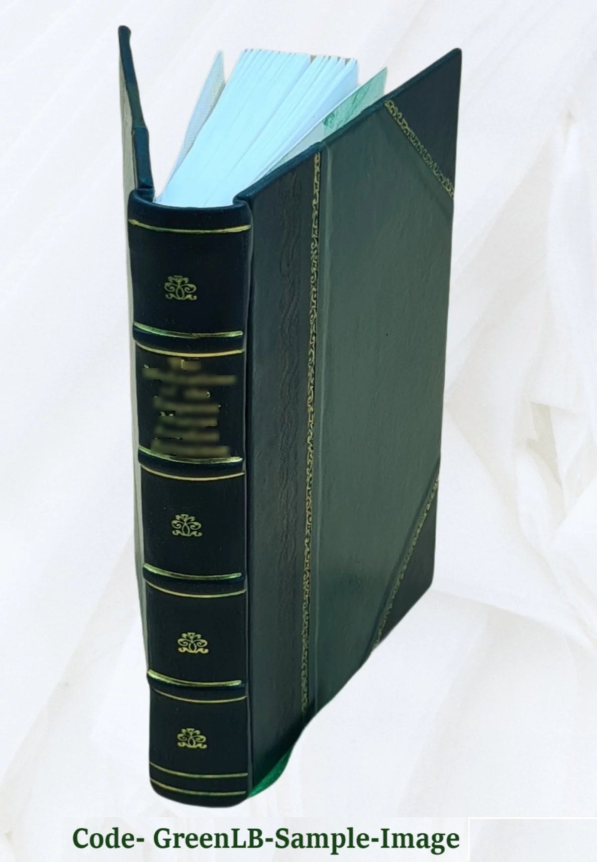 Leather Bound Book K508