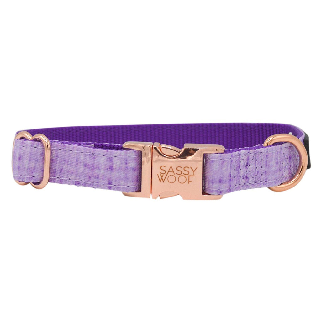 Dog Collar W98343